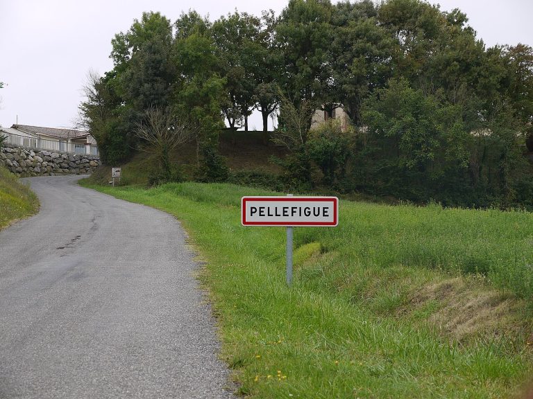 Vue de Pellefigue