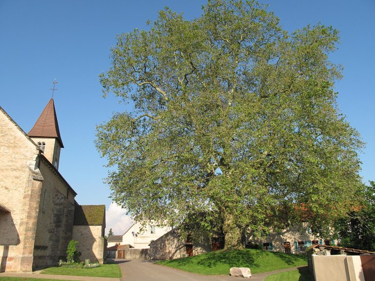 Vue de Préty