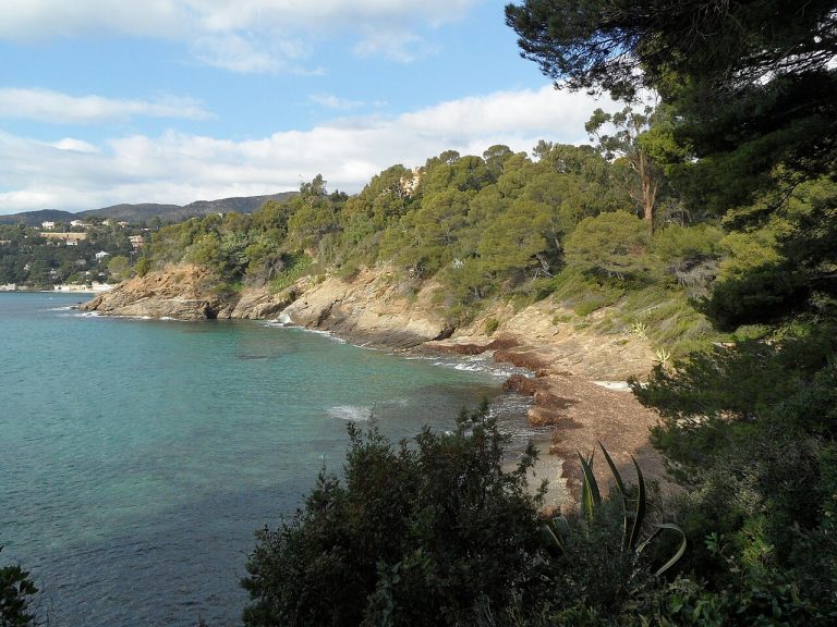 Vue de Rayol-Canadel-sur-Mer
