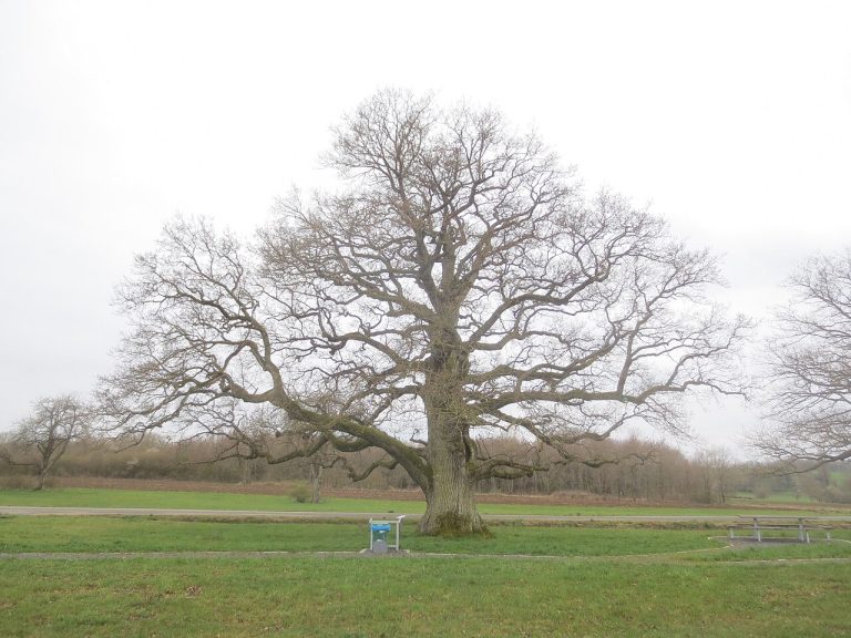 Vue de Rimsdorf