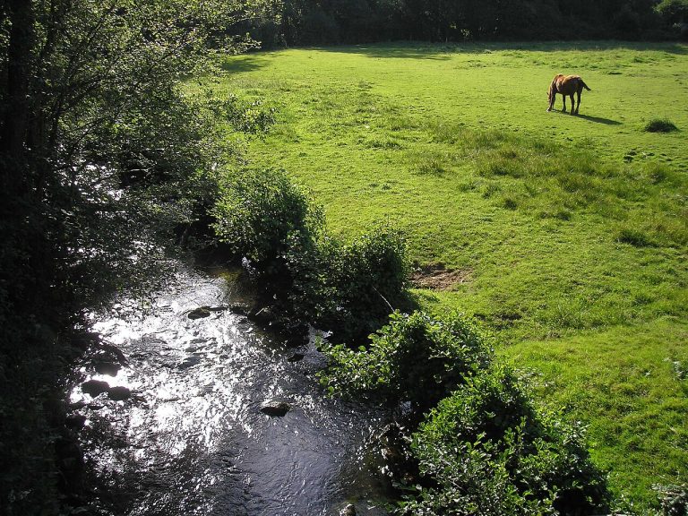 Vue de Saint-Georges-de-Rouelley