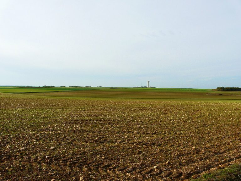 Vue de Saint-Jean-de-Sauves