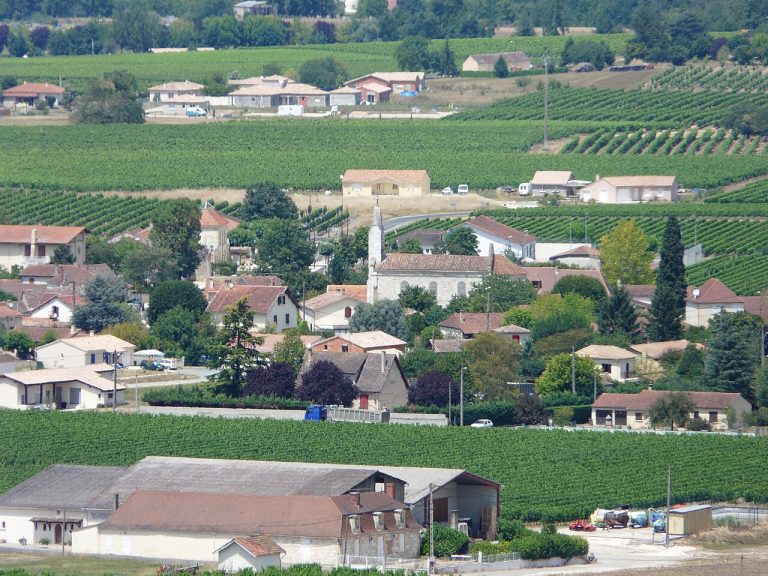 Vue de Saint-Laurent-des-Vignes