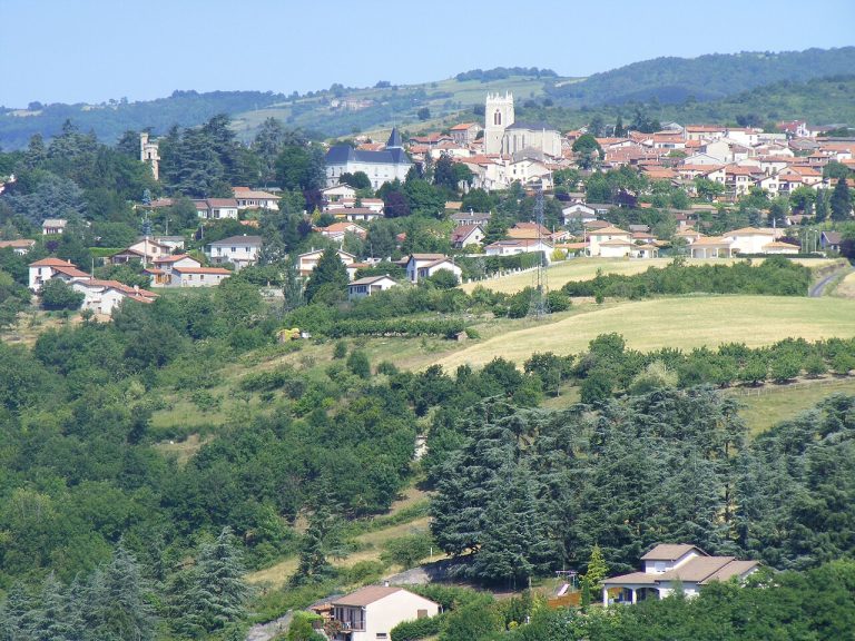 Vue de Saint-Martin-la-Plaine