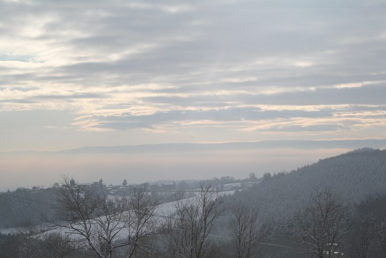 Vue de Sainte-Agathe-en-Donzy