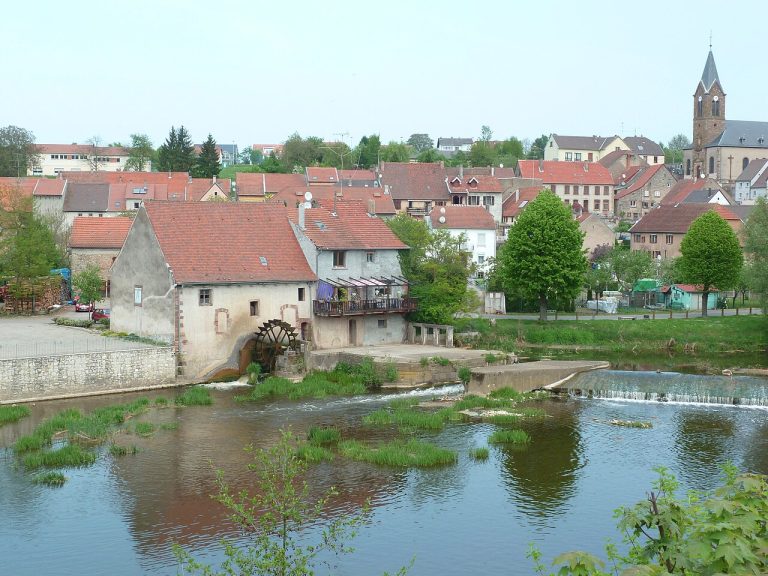 Vue de Sarreinsming
