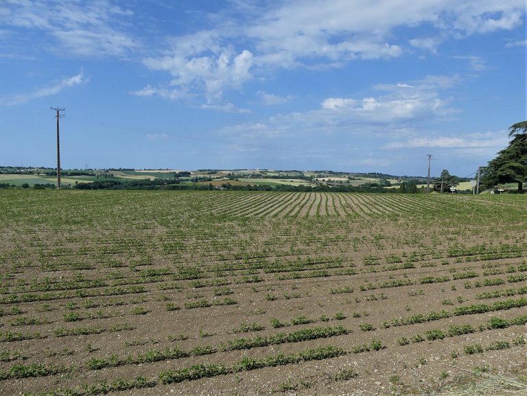 Vue de Saumont
