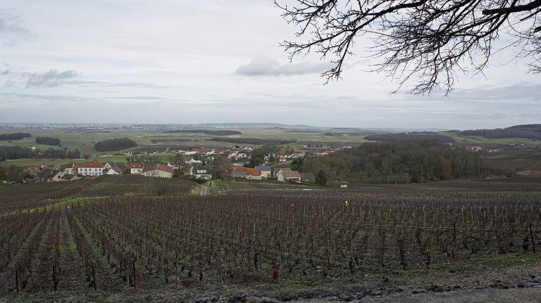 Vue de Sermiers
