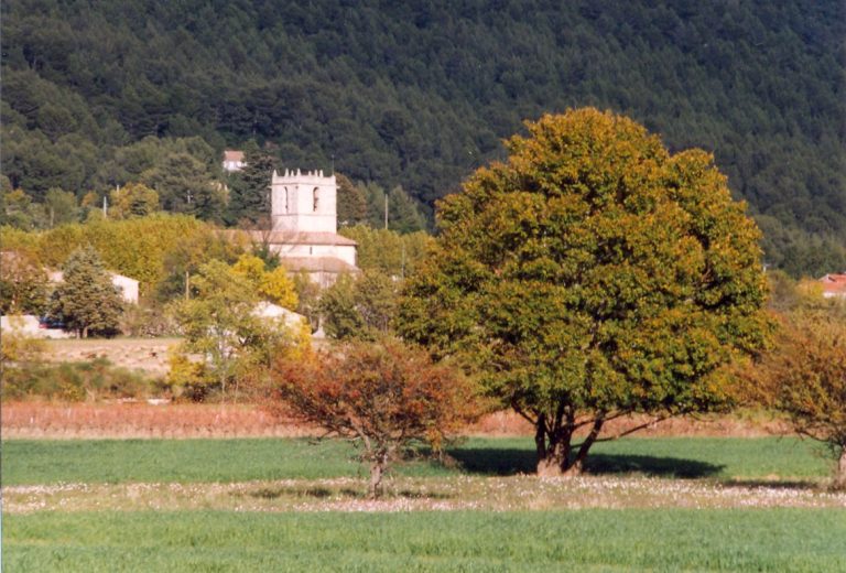 Vue de Signes