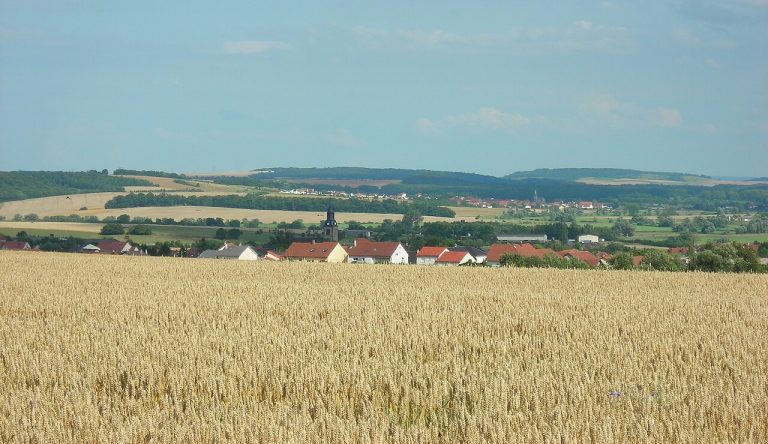 Vue de Teting-sur-Nied