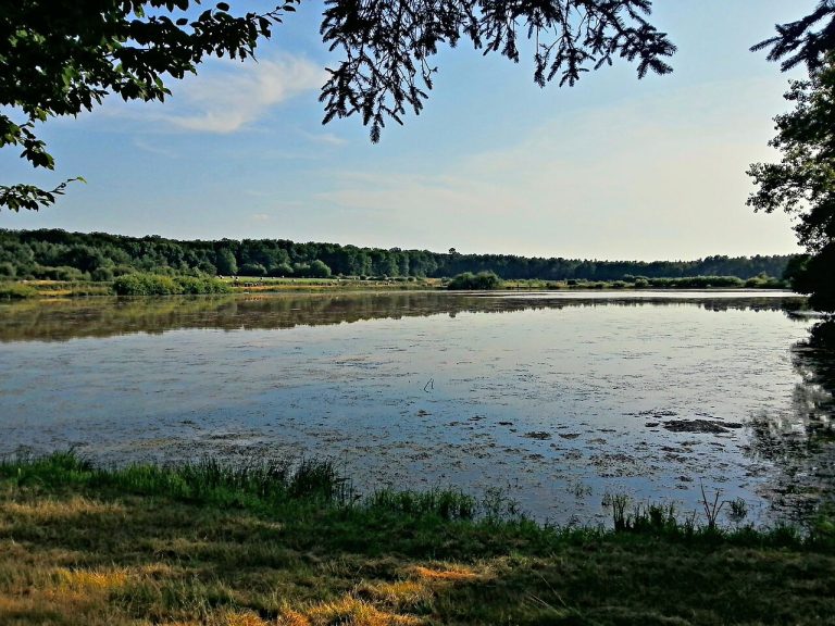 Vue de Thoury