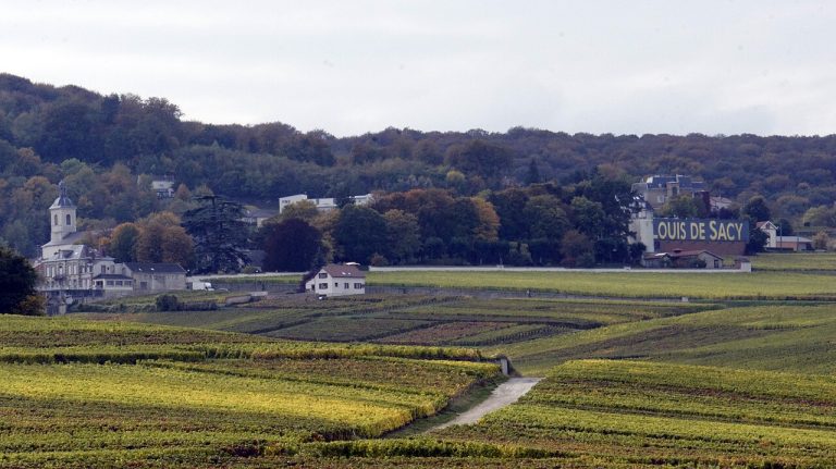 Vue de Verzy